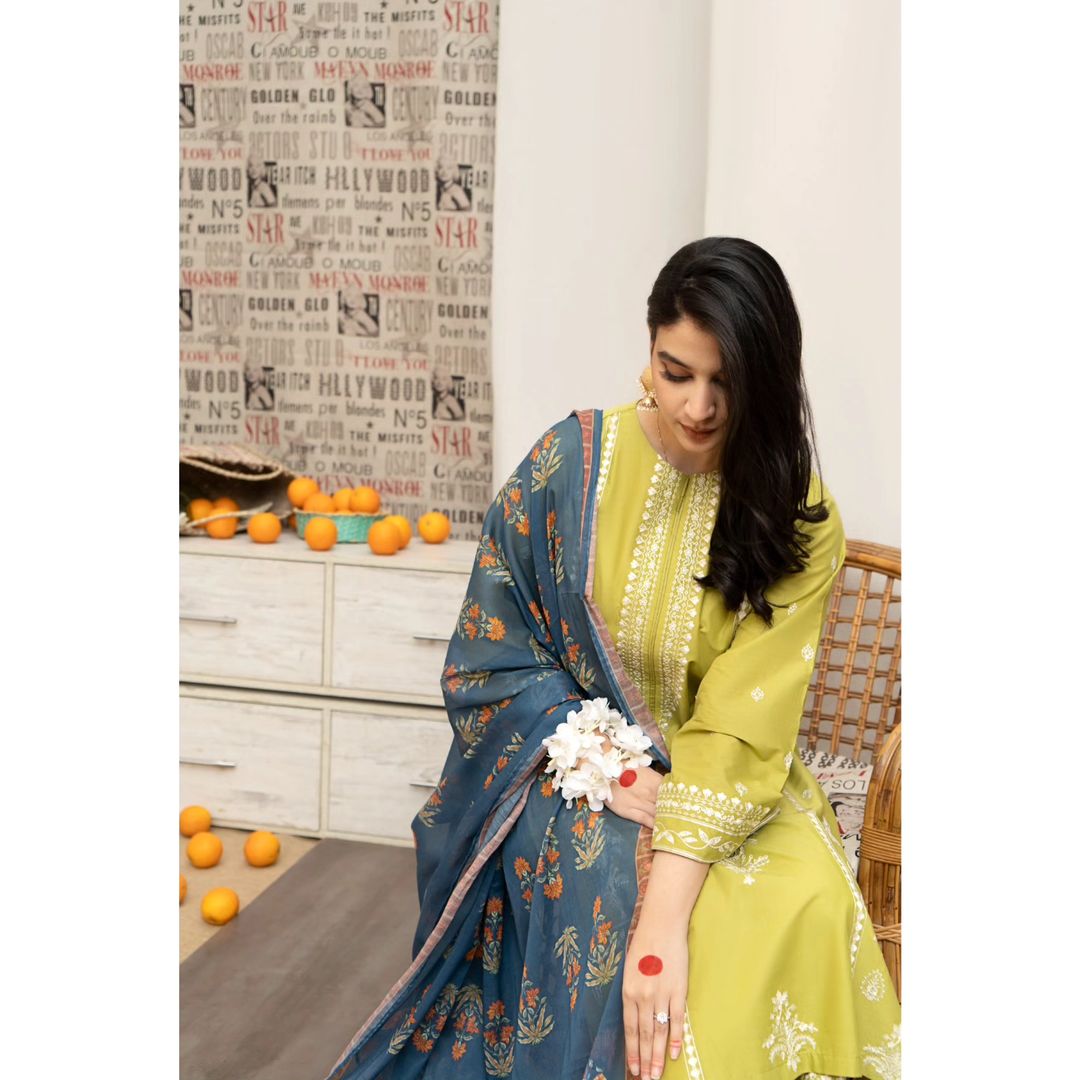 NA-29 : 3 PIECE UNSTITCHED PREMIUM DHANAK EMBROIDERED DRESS